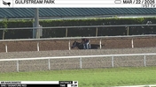 Mr Narcissistic Worked 3 Furlongs in 37.29 at Gulfstream Park on March 22nd, 2026