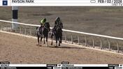 Moonlit (Outside) and Prodigious Worked 5 Furlongs in 1:04.80 at Payson Park on February 2nd, 2026