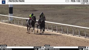 Moonlit (Outside) and Prodigious Worked 5 Furlongs in 1:04.80 at Payson Park on February 2nd, 2026