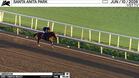 Liberation Worked 4 Furlongs in 50.20 at Santa Anita Park on June 10th, 2026