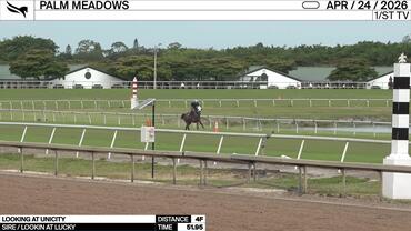 Looking At Unicity Worked 4 Furlongs in 51.95 at Palm Meadows on April 24th, 2026