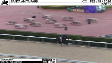 Legal Fiction Worked 3 Furlongs in 36.20 at Santa Anita Park on February 19th, 2026