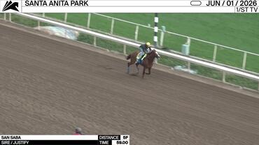 San Saba Worked 5 Furlongs in 59.00 at Santa Anita Park on June 1st, 2026