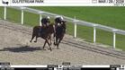 Chestnut (Outside) and Little Town Street Worked 4 Furlongs in 46.88 at Gulfstream Park on March 29th, 2026