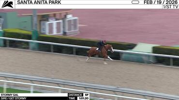 Stormy Gal Worked 5 Furlongs in 1:01.20 at Santa Anita Park on February 19th, 2026