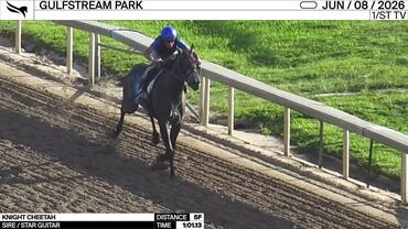 Knight Cheetah Worked 5 Furlongs in 1:01.13 at Gulfstream Park on June 8th, 2026