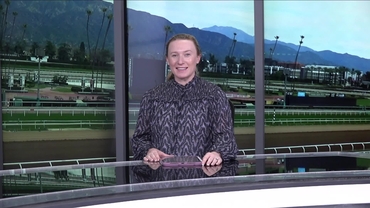 Preview of The Sam F. Davis on Feb 7th 2026