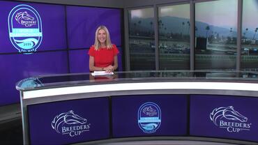 Preview of The Breeders' Cup Turf on November 1st, 2025