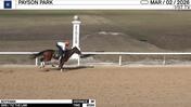 Scythian Worked 3 Furlongs in 37.00 at Payson Park on March 2nd, 2026
