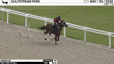 Swamp Fox Worked 4 Furlongs in 48.31 at Gulfstream Park on May 30th, 2026