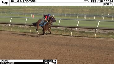 Maxitas Worked 4 Furlongs in 49.05 at Palm Meadows on February 28th, 2026