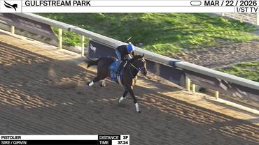 Pistolier Worked 3 Furlongs in 37.24 at Gulfstream Park on March 22nd, 2026