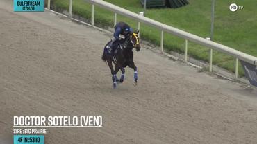 Doctor Sotelo Worked 4 Furlongs in :53.10 at Gulfstream Park on December 1st, 2019