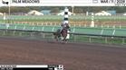 Blue Slide Park Worked 4 Furlongs in 49.25 at Palm Meadows on March 11th, 2026