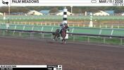 Blue Slide Park Worked 4 Furlongs in 49.25 at Palm Meadows on March 11th, 2026