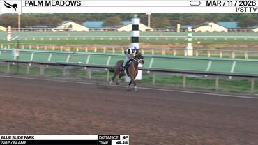 Blue Slide Park Worked 4 Furlongs in 49.25 at Palm Meadows on March 11th, 2026