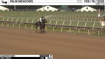 Blackfoot Daisy Worked 4 Furlongs in 49.05 at Palm Meadows on February 16th, 2026