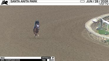 Inca Worked 4 Furlongs in 49.00 at Santa Anita Park on June 28th, 2026