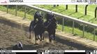 Filly Freedom (Outside) and Judysdancin Tonite Worked 4 Furlongs in 50.25 at Saratoga on August 29th, 2026