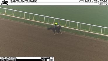 Tam's Little Angel Worked 4 Furlongs in 49.00 at Santa Anita Park on March 23rd, 2026