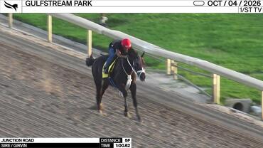 Junction Road Worked 5 Furlongs in 1:00.62 at Gulfstream Park on October 4th, 2026