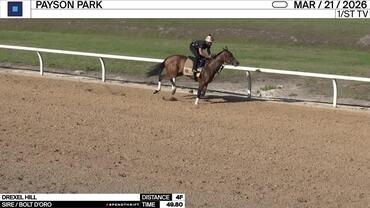 Drexel Hill Worked 4 Furlongs in 49.80 at Payson Park on March 21st, 2026