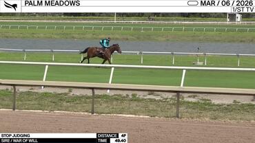 Stop Judging Worked 4 Furlongs in 49.40 at Palm Meadows on March 6th, 2026