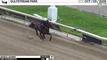 Musical Journey Worked 4 Furlongs in 48.84 at Gulfstream Park on October 3rd, 2026