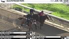 Gilded Memory (Outside), Northern Crown (Middle) and an Unnamed Horse out of the Dam Cambiata Worked 3 Furlongs in 37.69 at Gulfstream Park on June 8th, 2026