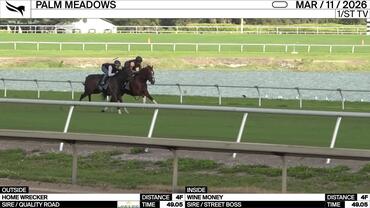 Home Wrecker (Outside) and Wine Money Worked 4 Furlongs in 49.05 at Palm Meadows on March 11th, 2026