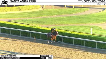 Catalina Cocktail Worked 4 Furlongs in 47.00 at Santa Anita Park on October 3rd, 2026