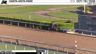 Daniel's Magic Worked 4 Furlongs in 48.20 at Santa Anita Park on October 19th, 2026