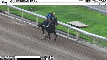 Beekman Street Worked 4 Furlongs in 52.34 at Gulfstream Park on September 24th, 2026