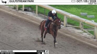 Arabian Crown Worked 4 Furlongs in 50.70 at Gulfstream Park on October 5th, 2026