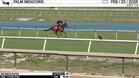 Bourbon Notes Worked 4 Furlongs in 46.35 at Palm Meadows on February 22nd, 2026