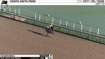 Tulavia's World Worked 4 Furlongs in 49.60 at Santa Anita Park on October 25th, 2026