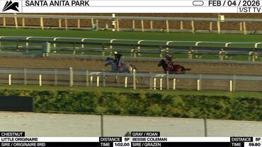 Little Originaire (Chestnut) and Bessie Coleman Worked 5 Furlongs at Santa Anita Park on February 4th, 2026