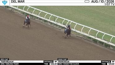 Tiger Wildcat (Red Cap) and Franciscus Worked 5 Furlongs at Del Mar on August 10th, 2026