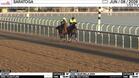 Harpist (Outside) and Double Max Worked 3 Furlongs in 39.60 at Saratoga on June 8th, 2026