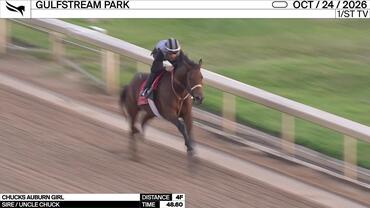 Chucks Auburn Girl Worked 4 Furlongs in 48.60 at Gulfstream Park on October 24th, 2026