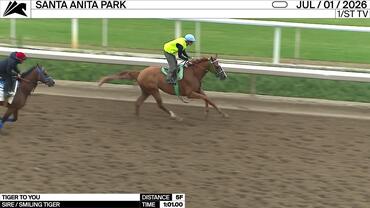Tiger to You Worked 5 Furlongs in 1:01.00 at Santa Anita Park on July 1st, 2026