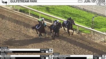 Brick City (Outside), Tybee Echo (Middle) and Fiftyshadesofpink Worked at Gulfstream Park on June 7th, 2026