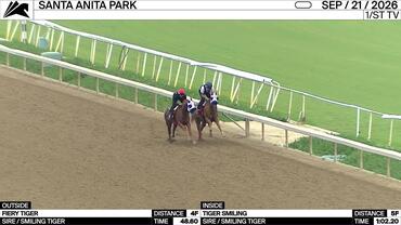 Fiery Tiger (Outside) and Tiger Smiling Worked 4 Furlongs at Santa Anita Park on September 21st, 2026
