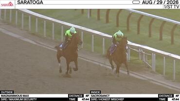 Magnanimous Max (Outside) and Sacrosanct Worked 4 Furlongs in 47.44 at Saratoga on August 29th, 2026