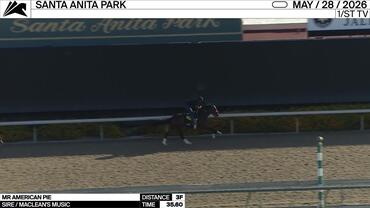 Mr American Pie Worked 3 Furlongs in 35.60 at Santa Anita Park on May 28th, 2026