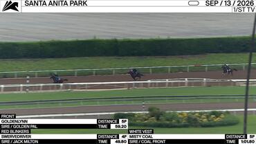 Goldenlynn (Front), Swervedriver (Red Blinkers) and Misty Coal Worked at Santa Anita Park on September 13th, 2026