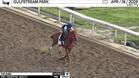 The Puma Worked 5 Furlongs in 1:00.77 at Gulfstream Park on April 18th, 2026