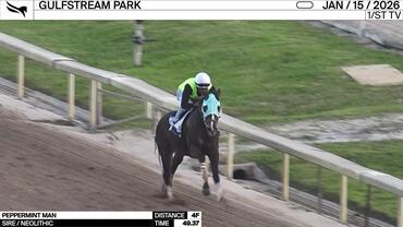 Peppermint Man Worked 4 Furlongs in 49.37 at Gulfstream Park on January 15th, 2026