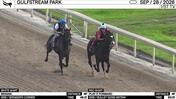 Bessan (White Shirt) and Play It Forward Worked 4 Furlongs at Gulfstream Park on September 28th, 2026