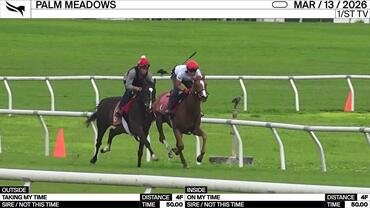 Taking My Time (Outside) and On My Time Worked 4 Furlongs in 50.00 at Palm Meadows on March 13th, 2026